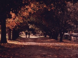 Elderly-couple-stroll-down-road-at-Hale-Farm-and-Western-Reserve-Village-300x222